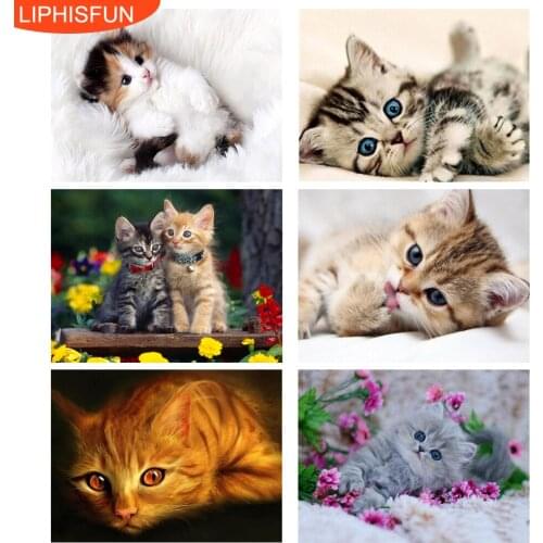 5D Diy Diamond Painting Full Drill Animal Cat Square Round Rhinestone Diamond Embroidery Cross Stitch Home Decor