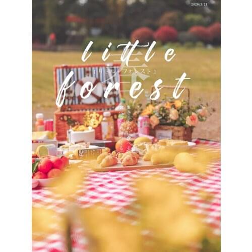 Spring Outing Outdoor Picnic Mat Supplies Outing Portable Picnic Blanket Waterproof Gasket Picnic Mat Ins Wind Net