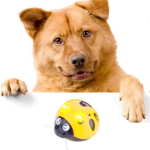 Full Refund if Faulty! Catch Me If You Can Super Fun Dog toy, Pet Toy, Watch Our Video To Know More