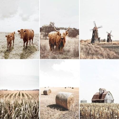 GATYZTORY Frame DIY Painting By Numbers Cattle Animals HandPainted Oil Painting Drawing On Canvas Unique Gift Home Decoration