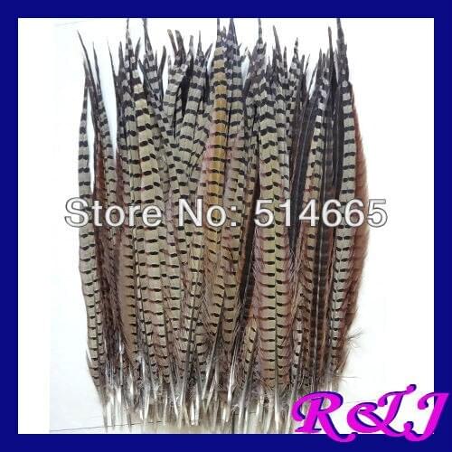 EMS Free Shipping 100pcs/lot natural ringneck pheasant Feather tail For Party Performance Approx 20-22inch 50-55cm