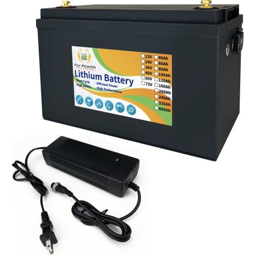 24V 100Ah 120Ah 160Ah 200Ah LiFePO4 Lithium Iron Phosphate Battery Built-in Bluetooth BMS For Golf Cart Solar Energy Storage