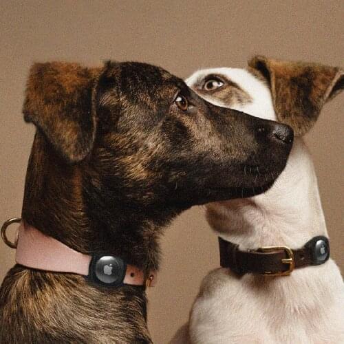 Pefiex For Apple Airtag Protective Cover Pet Cat Dog Collar Chain Airtags Anti-Loss Device Case