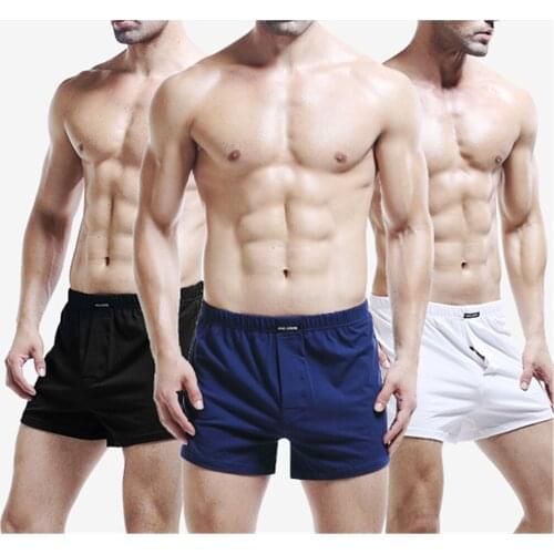 2 Piece Quality Mens Long Panties Underwear Soft Stretch Knit Boxer Breathable Cotton Shorts Flat Feet Briefs Knickers Plus Size