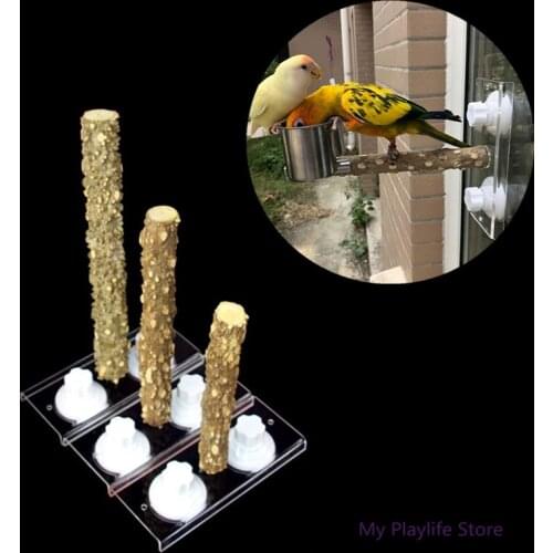 20/25/30cm Pet Shower Perches Toys Bird Bath Standing Foot Deck Suction Cup Wall Rack Hand Paw Grinding Toy Birds Supplies C42