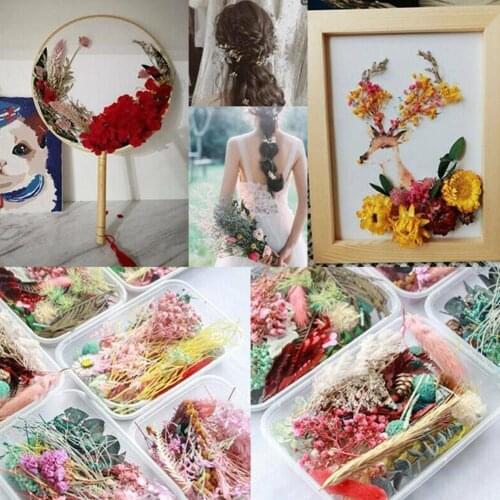 Random Mix Color Flower Pressed Dried Natural Leaves Jewelry DIY Handmade Epoxy Bookmarks Resin Materials Craft F4J3
