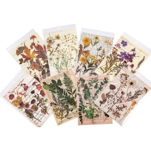 Flower Plant PET Sticker DIY Epoxy Resin Glue Leaves Decoration Sticker Retro Transparent Natural Flower Scrapbook Diary Album