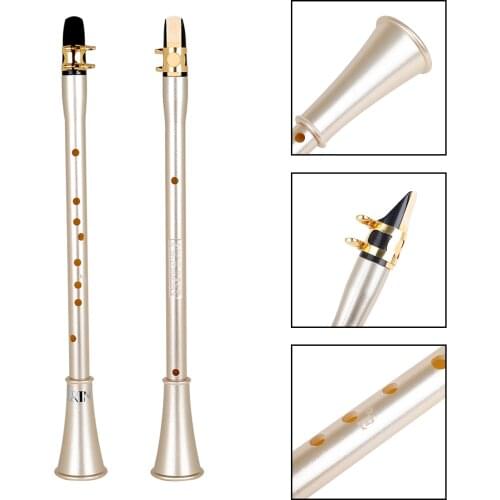 Pocket Saxophone Kit Portable Resin Mini Sax Alto Saxophone With Carrying Bag Fingering Chart For Beginners Woodwind Instrument