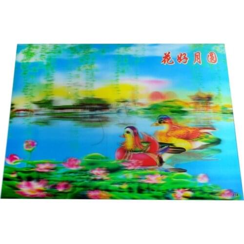3D Effect Plastic Picture Wall Hanging,Poster-Mandarin Duck J2037