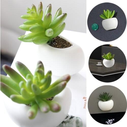 1pcs/Set Fridge Magnets Cute Cactus Succulent Plant photo Magnet Button Refrigerator Message Sticker Home Decoration
