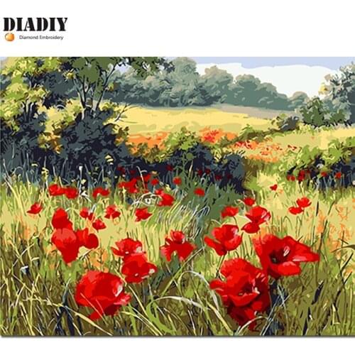 5D DIY Diamond Painting Poppy flowers Full Square&round Rhinestone Sets Diamond Embroidery Cross-Stitch home decor