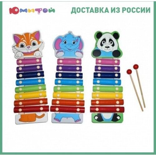 Mapacha Children's Musical Instruments