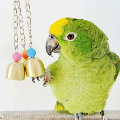 Large Medium and Small Parrot Bells Molar Toy Copper Parrot Bells Parrot Stand Decoration Peony Parrot Cockatoo Parakeet