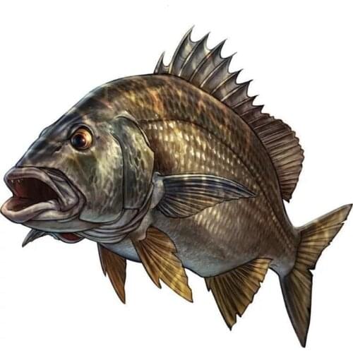 B0530# 13CM/17CM Self-Adhesive Interesting Fishing Fisherman Hobby Fish Boat Car Sticker Decors on Bumper Rear Window Laptop