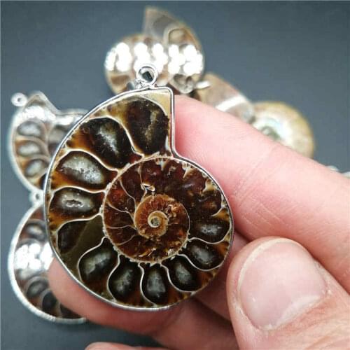 Necklace commercio all'ingrosso 1 pz fascino naturale ammonite shell monili del pendente beads pendant per la collana