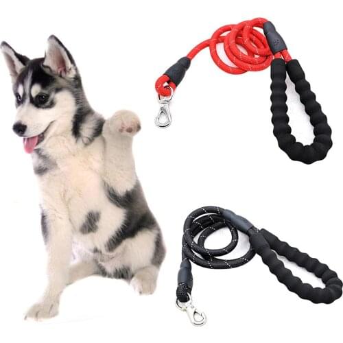 Metal Buckle Pet Dog Traction Rope Walking Reflective Training Walking Leash