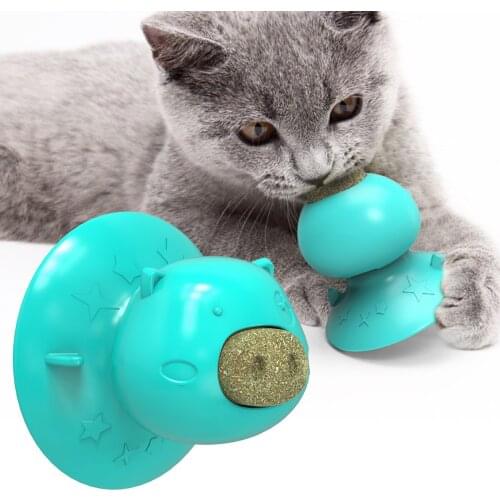 High Quality Cat Lick Toys Kitten Kitty Mint Licking Molar Suction Cup Catnip Toy For Cat
