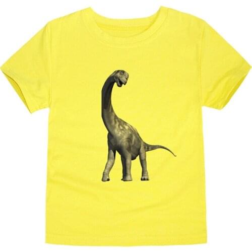Baby Boys Cartoon Dragon Heat Transfer T-shirts Yellow Dinasour Kids Tees Toddler Children Cotton T Shirt Boy Clothing Teen Tops