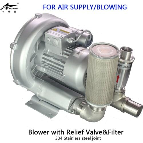 750w Turbo Blower 1hp Low Noise Fish Tank Ring Air Blower biofloc with stainless steel Pipe fitting joint
