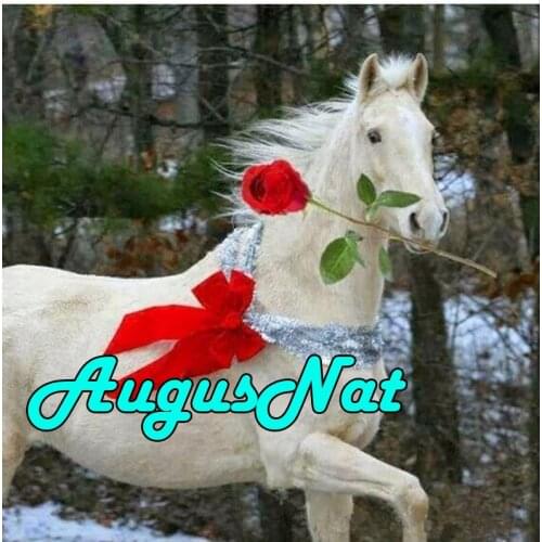5d animals diamond painting white horse diamont embroidery full rose daimand mosaic picture diamand paint stickers new arrival