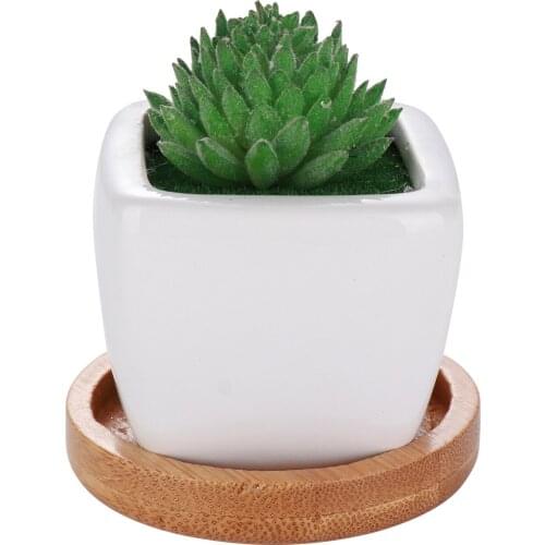 Bamboo Tray Flower Container Plant Pot Saucer Creative Original Wood Color Environmentally Friendly Round Tabletop Tea Set