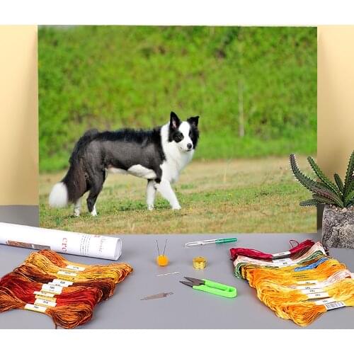 Animal Border Collie Printed Fabric 11CT Cross-Stitch Complete Kit Embroidery DMC Threads Needlework Sewing Hobby Counted