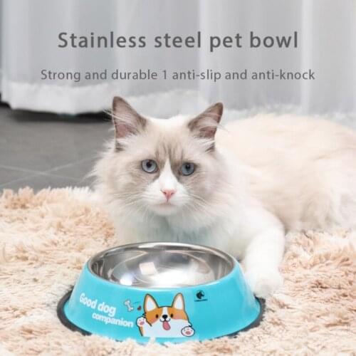 Cartoon Pattern Dog Bowls Single Stainless Steel Pet Bowls Food Water Feeder Multicolors