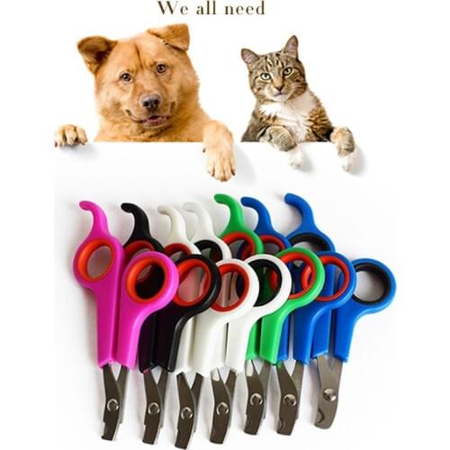 HOBBAGGO Products For Cats