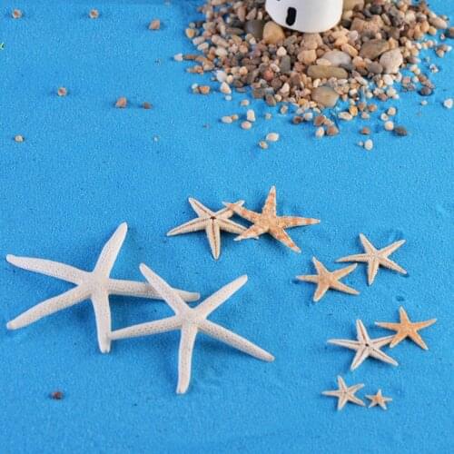 10PCS Mixed Size Natural Dried Starfish Miniatures Landscape Accessories for Home Garden Cake Decoration Scrapbooking Craft Diy