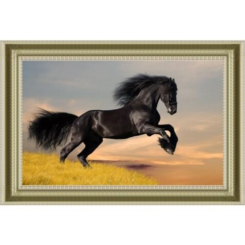 Needlework,for embroidery,DIY The black horse riding Animal 14CT Cross stitch kits,Art Pattern counted Cross-Stitching decor