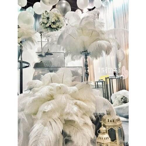 Wholesale 100pcs beautiful ostrich feathers 12-14 inch wedding dress headdress decoration