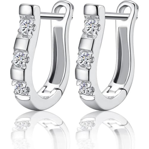 Big Promotion Factory Price 925 Stamp Silver Jewelry Accessories Earring for Women Clear CZ Rhinestone Hoop Earrings Luxury Gift