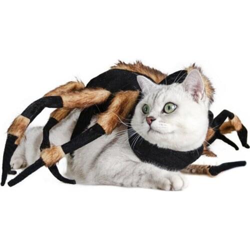 Funny Halloween Pet Cosplay Spider Costume Dog Cat Spider Party Clothes Pet Cat Clothing For Chihuahua Small Medium Dogs