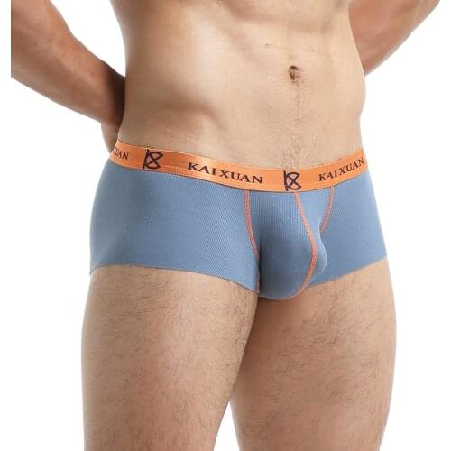 Mens Boxer Shorts Modal Seamless Slip Homme Underwear Calzoncillo Sexy Bugle Pouch Boxershorts Cueca Gay Panties Tanga Bikini