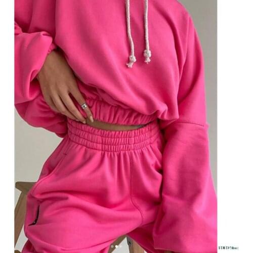 Fleece Tracksuits Womens Solid Hoodie Two Piece Set 2021 Spring Autumn Elastic Waist Sweatshirts Female Casual Sport Suit