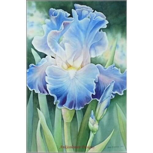 Counted Cross Stitch Kits Needlework Embroidery - Crafts 14 ct Aida DMC Color DIY Arts Handmade Home Decor - Moonlit Dance