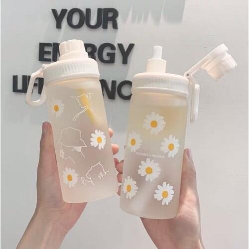 Small Daisy Transparent Plastic Water Bottles 500ml With straw Creative Frosted Water Bottle With Portable Rope Travel Tea Cup