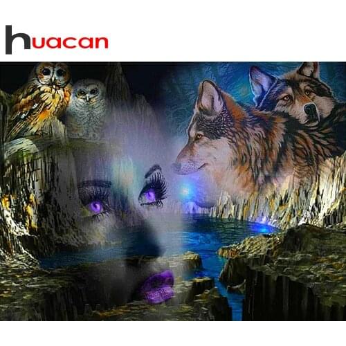 Huacan 5D DIY Diamond Painting Woman Wolf Diamond Embroidery Mosaic Animals Paintings For Interior Handicraft Home Decoration