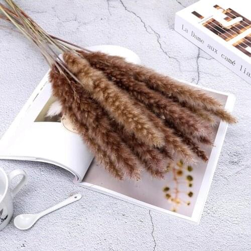 15pcs Phragmites Communis Bouquet Bunch Dried Grass Natural For Flower Arrangement DIY Craft Home Wedding Decor