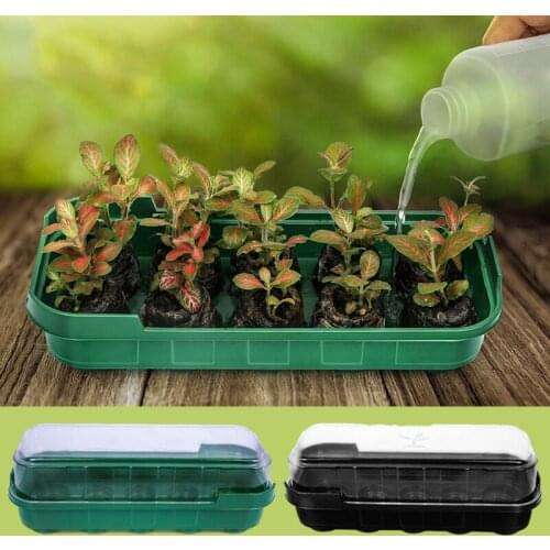 3 Color Nursery Potted Seed Tray Kit Plant Germination Box Cover Garden Growing Box Succulent Nursery Box Outdoor Accessories