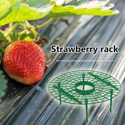 Plastic Strawberry Stand Balcony Vegetable Stand Plant Climbing Pillar Garden Stand Removable Vegetable Fruit Plant Rack