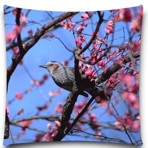 A bird in the Plum blossom tree 2D print creative Pillow case Square cotton polyester cushion cover 5 size 9 style