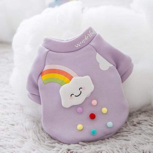 Cat Clothes Spring New Teddy Bichon Puppy Dog Sweater Cartoon Thin Velvet Cat Two Feet Warm Pet Clothing