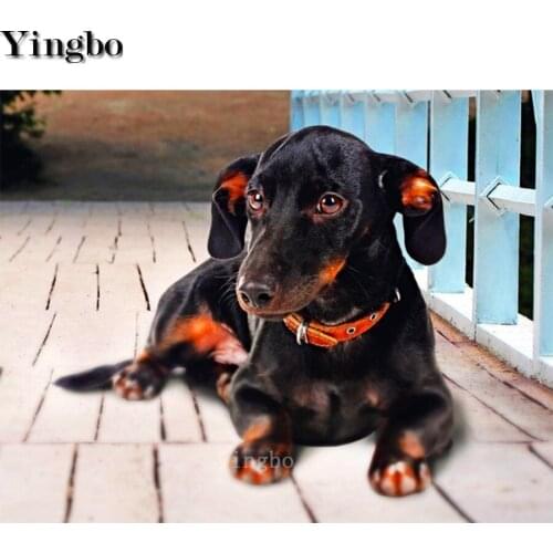 Yao Bo Diamond Embroidery Kits