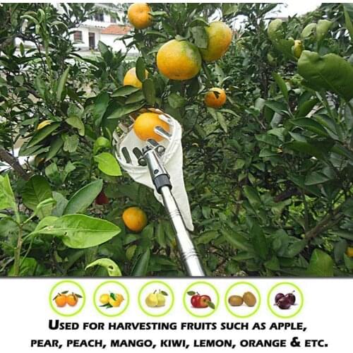 Fruit Picker Garden Pruning Fruit Gardening Pear Peach Metal Collection Tools Picking Garden Long Supplies Distance Gatheri K1P0