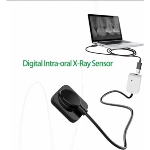 Hot Sale X Ray Sensor Digital Rvg Imaging System Sensor Supplier