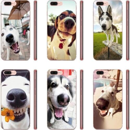 For LG G7 ThinQ G5 G6 K50 Q60 K40 K8 Q7 2018 2017 V40 V30 V20 V10 Cases Funny Animal Miniature Husky