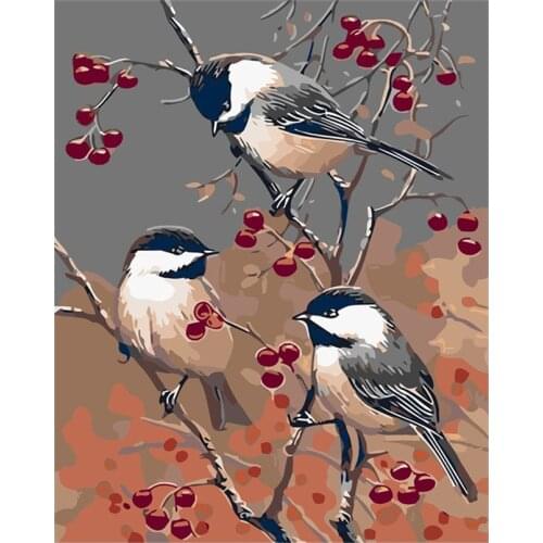 Tetasal DIY Painting by Numbers For Adults Kits Gift Digita Oil Paint Dropshipping On Canvas Flowers and birds Home Decoration