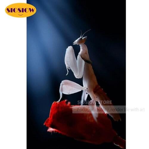 SIOSIOW Diy 5d Rhinestone Daimond Painting Crystal Animals White Jade Mantis Diamond Embroidery Insect Cross Stitch Kit Full Set