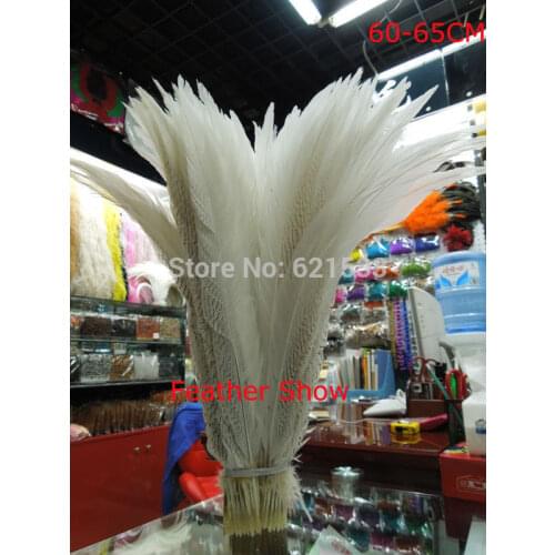 20Pieces/lot-60-65cm Quality Long Silver Pheasant Tail Feathers carnival caribana dance costumes